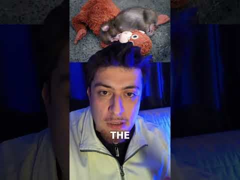 Man Turns $290 Into $80,000 in 48 Hours #crypto