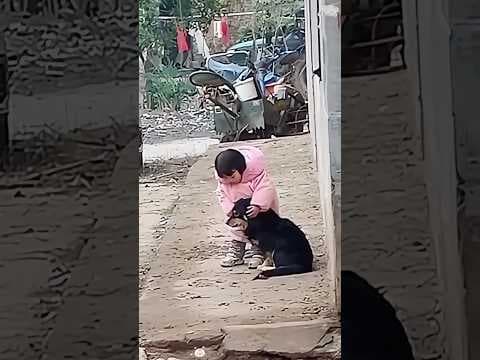 Kids & Dogs Best Friends Forever: Cutest Moments Ever!